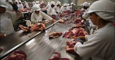 Tizenegy tonna húst foglaltak le Dunakeszin