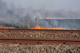 Több helyen égett a váci vasútvonal menti töltés