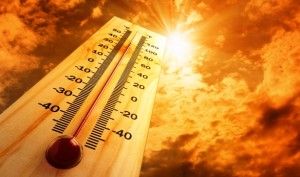 kánikula - hőmérő a napon