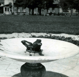 1958 Béka szobor Posta park