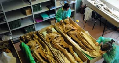 A váci múmiákat is bemutató kiállítás nyílik