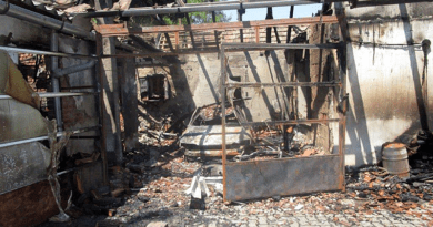 Egy ház teteje és a garázs is leégett Nagymaroson
