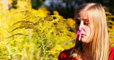 A pollenallergiánk még a biztosításunk díját is megemelheti