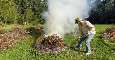 Civilek követelik az avar- és kerti égetés betiltását
