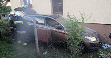 Kidöntötte a kerítést és egy háznak ütközött egy autó Sződligeten