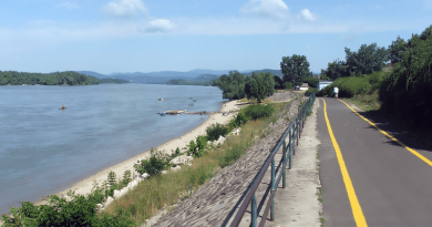 A Duna Sződliget és Vác közötti szakaszán jelen lévő halállományt vizsgálták