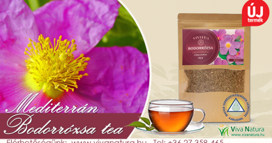 Bodorrózsa tea a teák Királynője