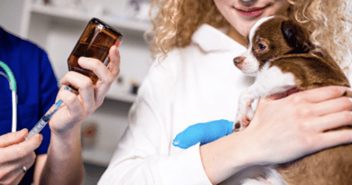 Röntgenfényben a kutyák gerincoszlopi eredetű betegségei