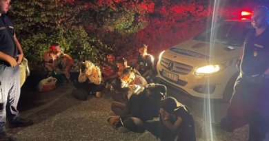 Közös ellenőrzésen a váci rendőrök 19 szír állampolgárt találtak egy autóban