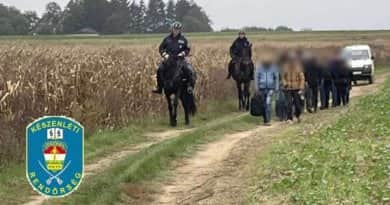 Lovas rendőrök találták meg a kukoricásban az illegális migránsokat
