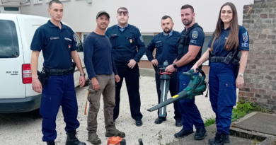 Udvarról loptak kerti eszközöket – A váci rendőrök egy nap alatt megfogták az egyik betörőt