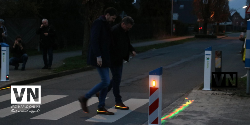 okoszebravn
