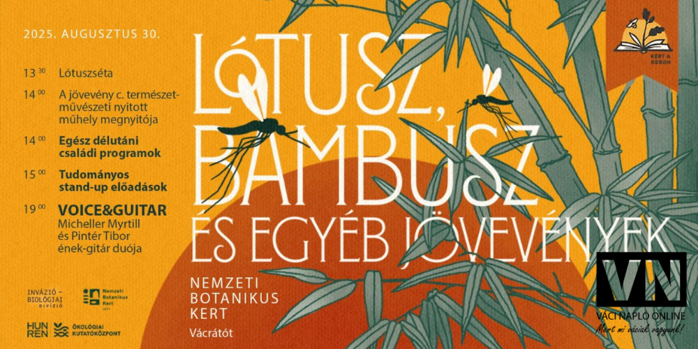 lótusz bambuszvn