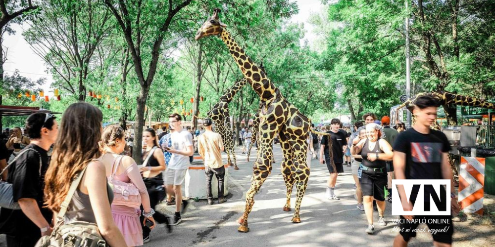 sziget4vn