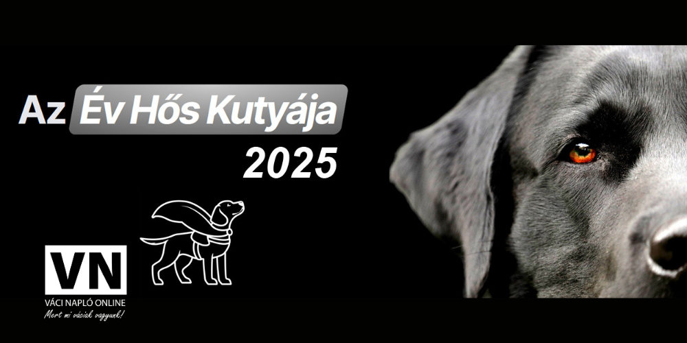 azévhőskutyájavn