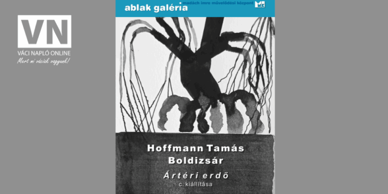 hofmantamásvn