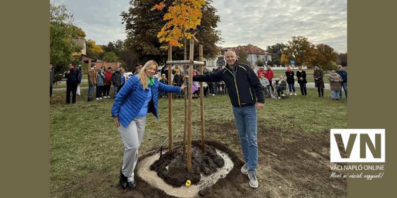 idősekfájaültetés2vn