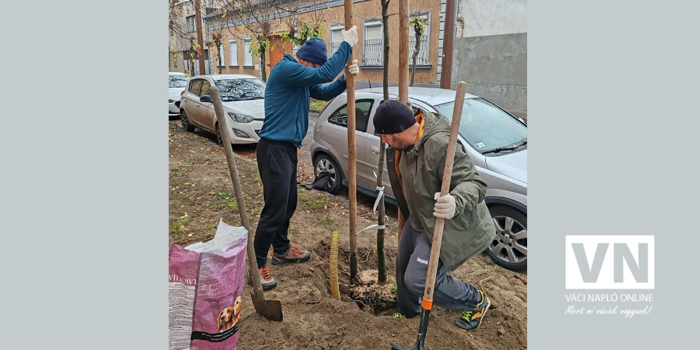 faültetésjavítottvn