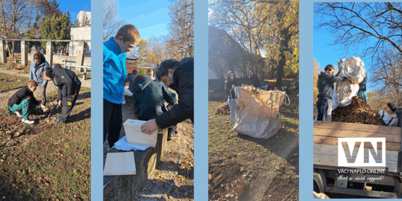 rózsakertrendezés2025vn