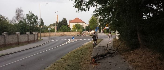 Leszakadt egy hatalmas ág a Temető úti körforgalomnál